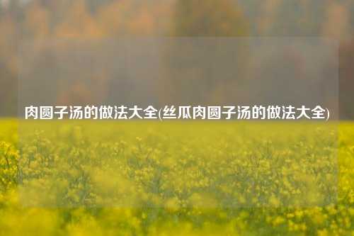 肉圆子汤的做法大全(丝瓜肉圆子汤的做法大全)