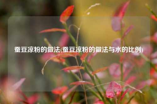 蚕豆凉粉的做法(蚕豆凉粉的做法与水的比例)