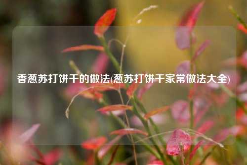 香葱苏打饼干的做法(葱苏打饼干家常做法大全)