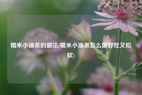 糯米小油条的做法(糯米小油条怎么做好吃又松软)