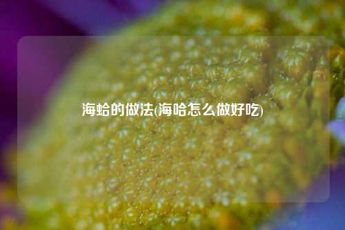 海蛤的做法(海哈怎么做好吃)