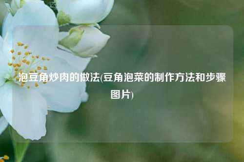 泡豆角炒肉的做法(豆角泡菜的制作方法和步骤图片)