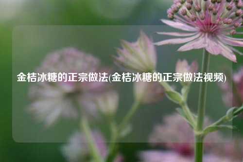 金桔冰糖的正宗做法(金桔冰糖的正宗做法视频)