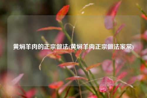 黄焖羊肉的正宗做法(黄焖羊肉正宗做法家常)