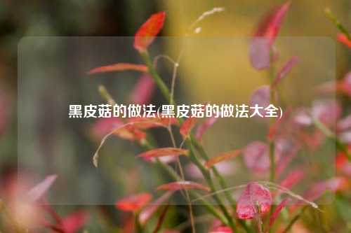 黑皮菇的做法(黑皮菇的做法大全)