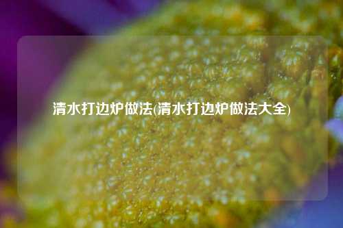清水打边炉做法(清水打边炉做法大全)