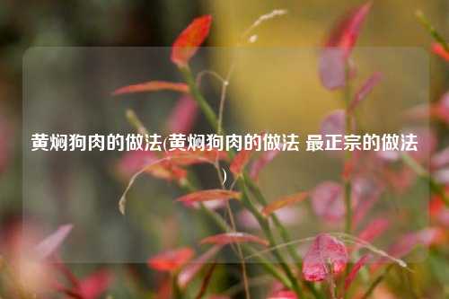 黄焖狗肉的做法(黄焖狗肉的做法 最正宗的做法)