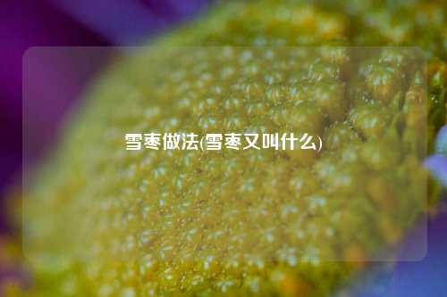 雪枣做法(雪枣又叫什么)
