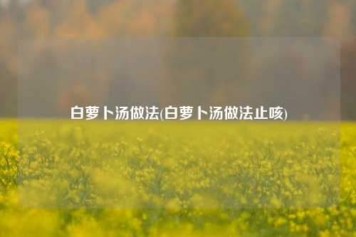 白萝卜汤做法(白萝卜汤做法止咳)