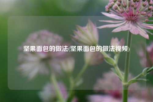 坚果面包的做法(坚果面包的做法视频)
