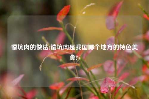 馕坑肉的做法(馕坑肉是我国哪个地方的特色美食?)