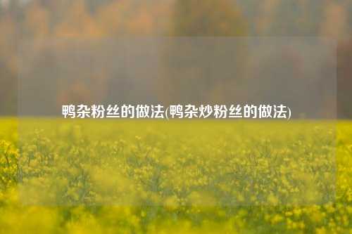 鸭杂粉丝的做法(鸭杂炒粉丝的做法)