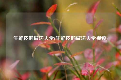 生虾皮的做法大全(生虾皮的做法大全视频)