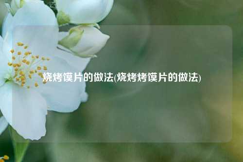 烧烤馍片的做法(烧烤烤馍片的做法)