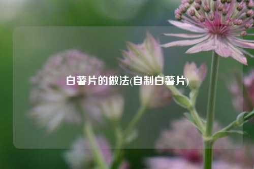 白薯片的做法(自制白薯片)