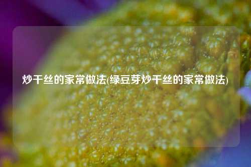 炒干丝的家常做法(绿豆芽炒干丝的家常做法)